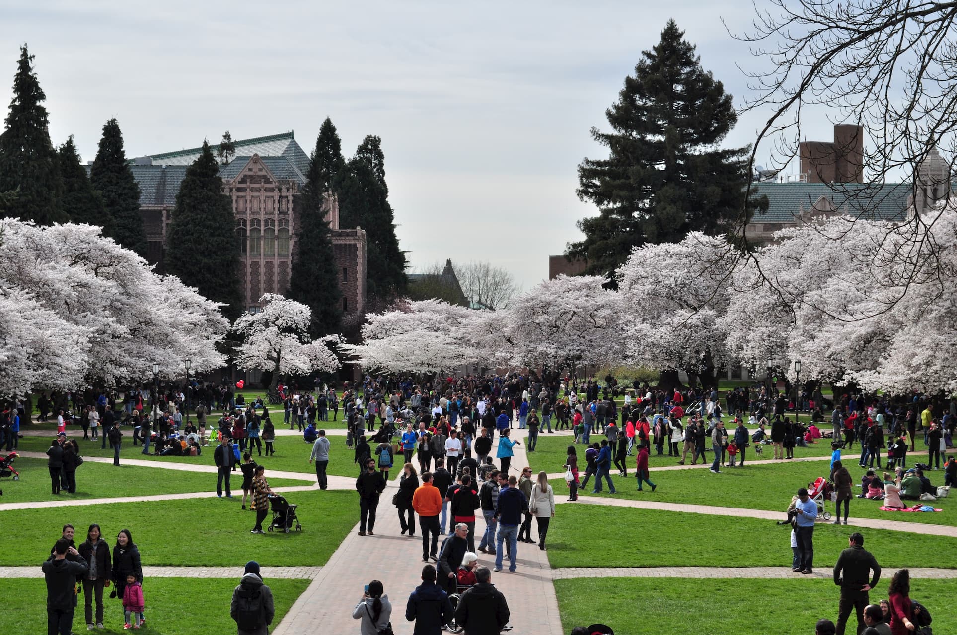 University of Washington Quad